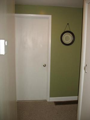 Wall Paint Green