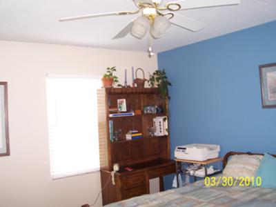 Blue Accent Wall Bedroom