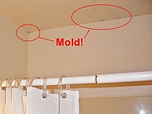 Removing Mold And Mildew Stains From Home Paint