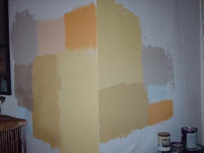 Help me choose a paint color...