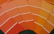 paint color chips are not enough