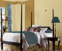 house paint color combination for a room