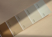 paint color matching in the right lighting