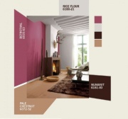 getting ideas for wall paint colors