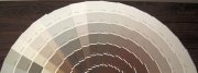 neutral paint color choices