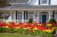 House in the spring