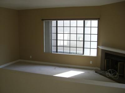 Living room and fireplace