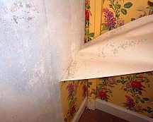 Dry wallpaper stripping