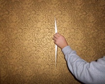 Wallpaper removal