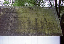 Moss and mildew on roof shingles
