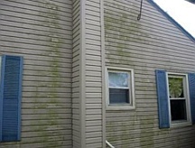 Mold and mildew stains on siding