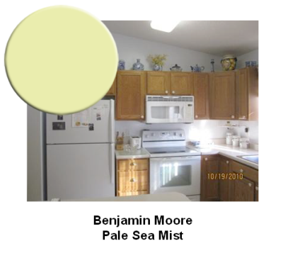 Pale Sea Mist paint color