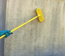 Scrubbing the wall with a brush to remove mold, mildew and their foods