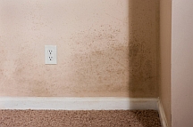 Mold stains on the wall