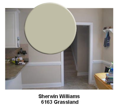 SW6163 Grassland paint color