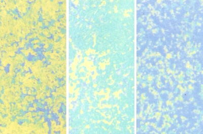 You can create different sponging effects by layering the colors differently