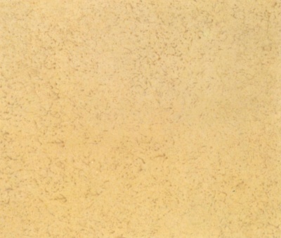 Tone-on-tone sponged off and on paint finish