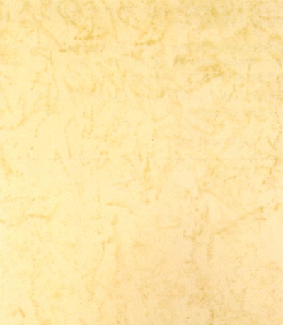 Touch up any unbalanced areas in the finish, if needed