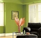 choosing a paint color for sunny rooms