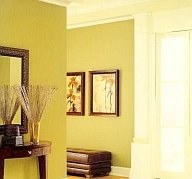 choosing paint color