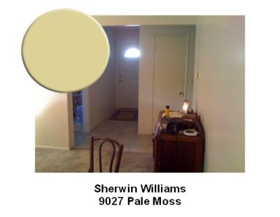 SW 9027 Pale Moss