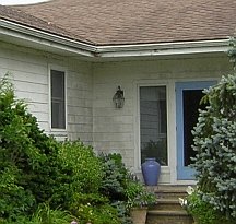 Black mold on the front walls.