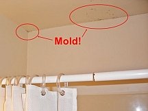 Black mold on the bathroom ceiling.