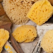 The best tool for paint sponging is a natural sea sponge