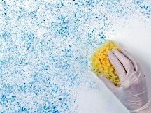 Sponged on finishes should look consistent, but not structured Sponged on finishes should look consistent, but not structured