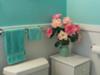 Turquoise paint color on my bathroom walls