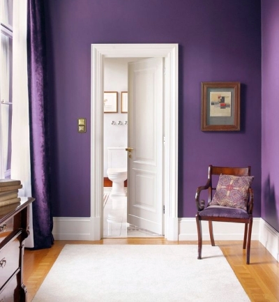 Violet wall paint color with yellow flooring